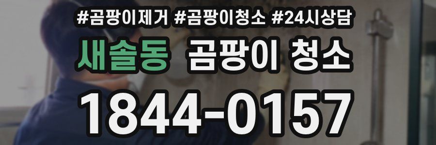 새솔동 곰팡이 청소