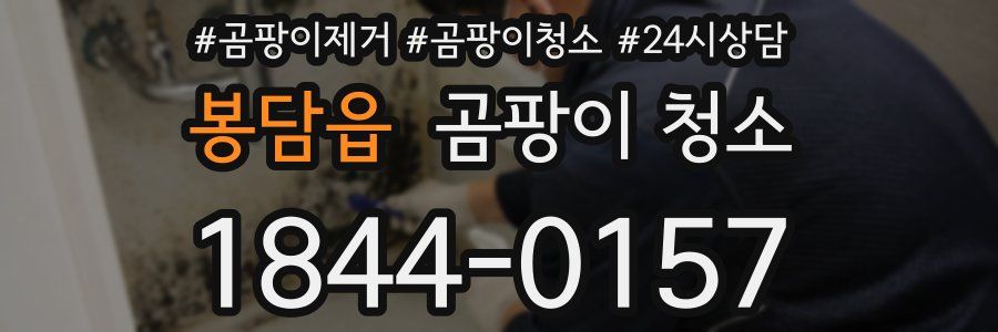 봉담읍 곰팡이 청소