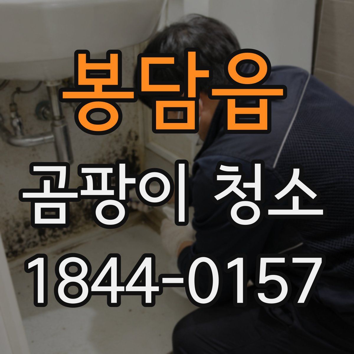 봉담읍 곰팡이 청소