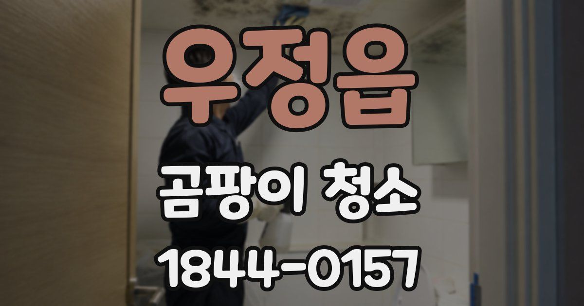 우정읍 곰팡이 청소