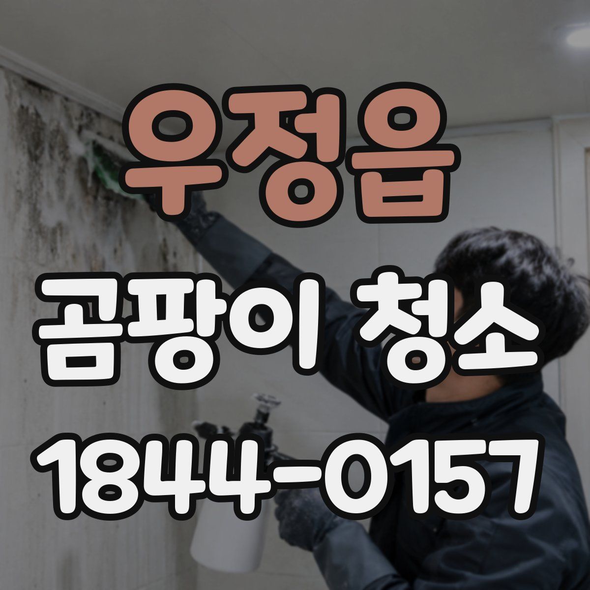 우정읍 곰팡이 청소