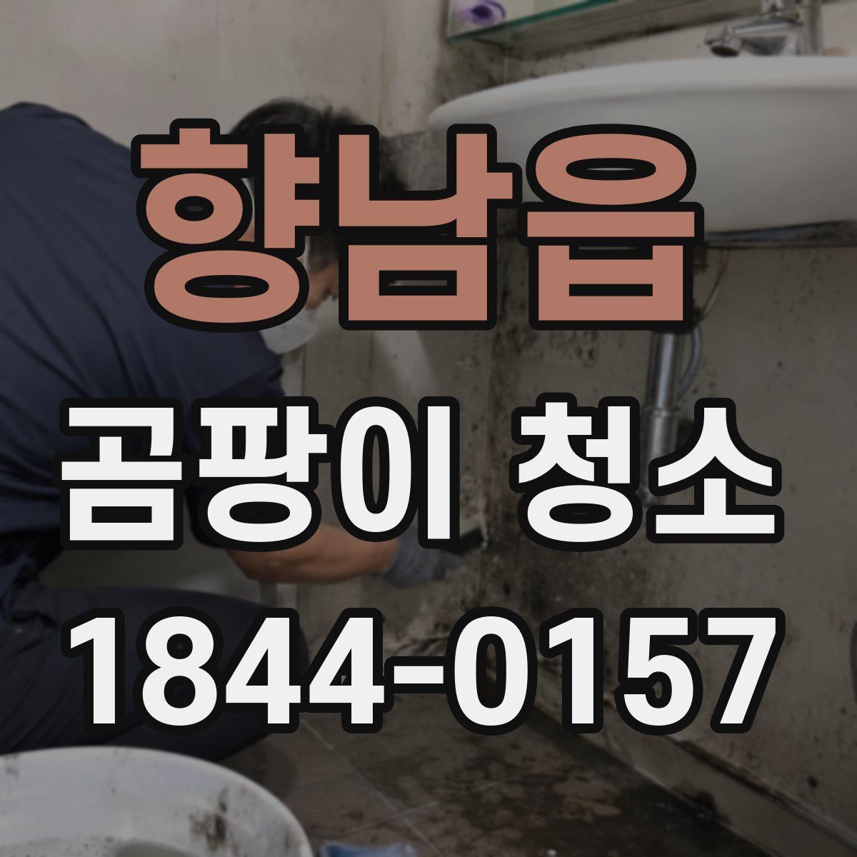 향남읍 곰팡이 청소