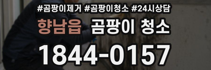 향남읍 곰팡이 청소