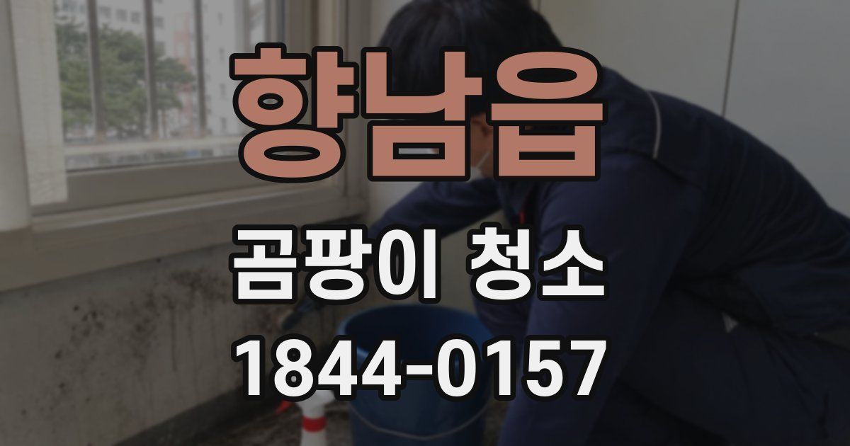 향남읍 곰팡이 청소