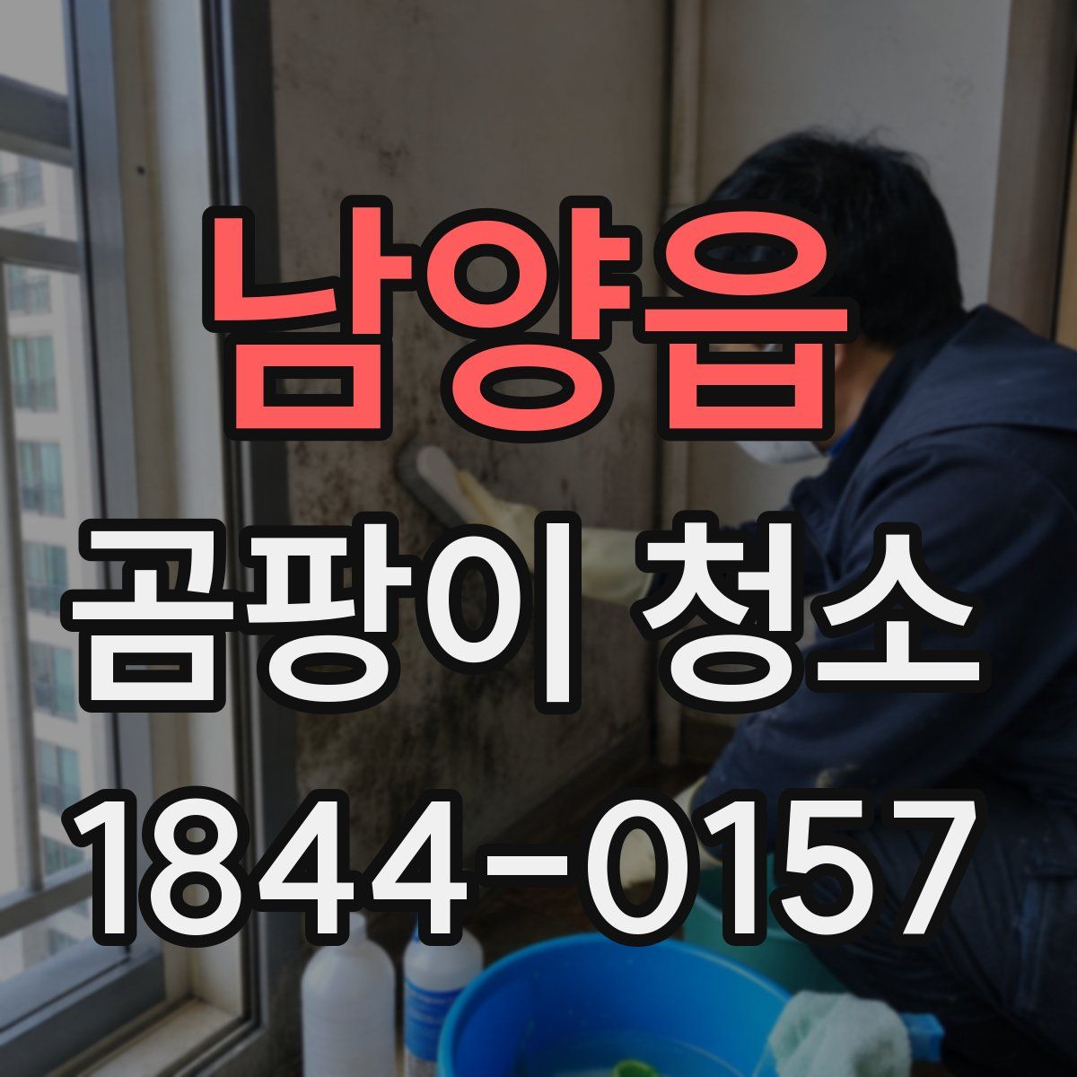 남양읍 곰팡이 청소
