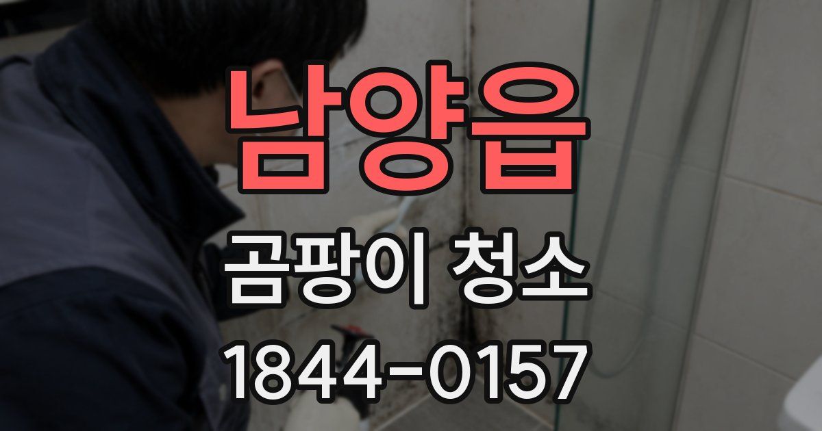 남양읍 곰팡이 청소