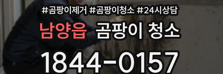 남양읍 곰팡이 청소