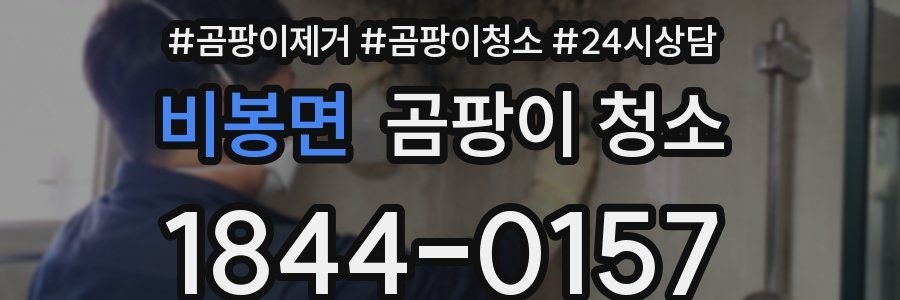 비봉면 곰팡이 청소
