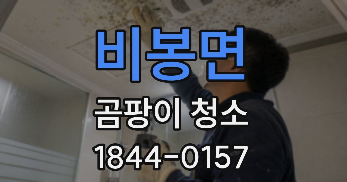 비봉면 곰팡이 청소