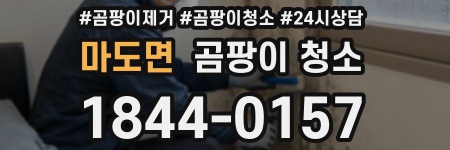 마도면 곰팡이 청소