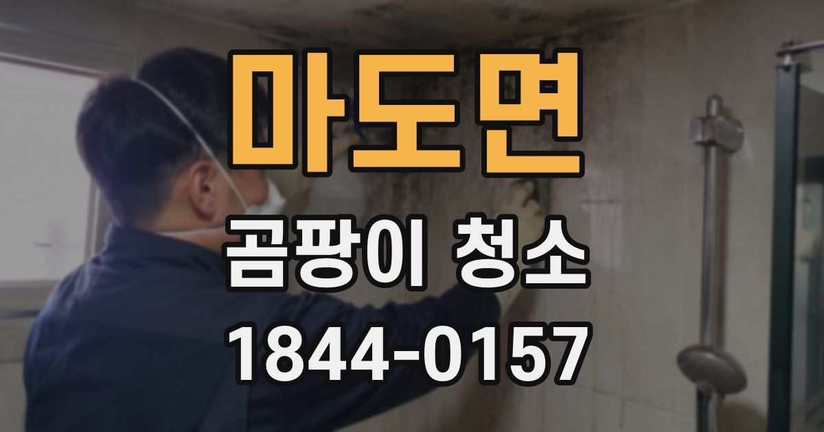 마도면 곰팡이 청소