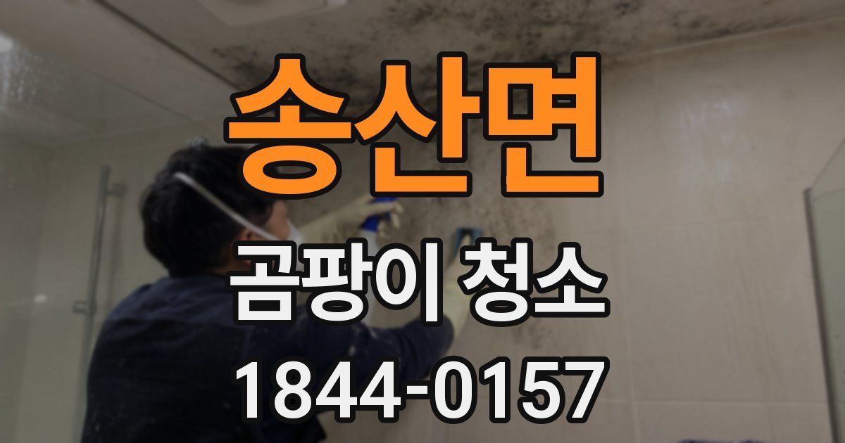 송산면 곰팡이 청소