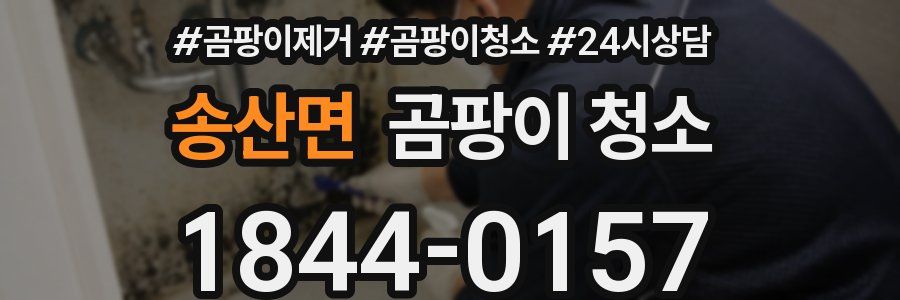 송산면 곰팡이 청소