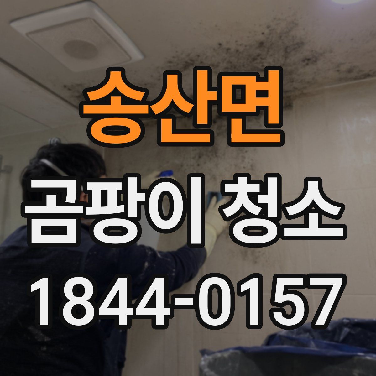 송산면 곰팡이 청소