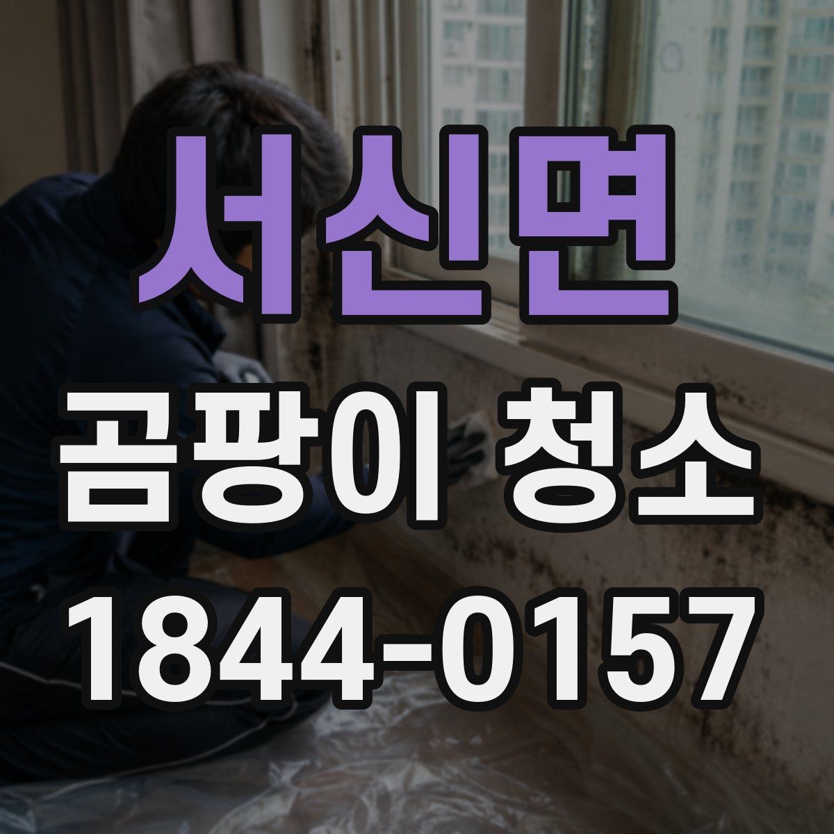 서신면 곰팡이 청소 뒤 도장 여부를 판단할 때 보는 항목
