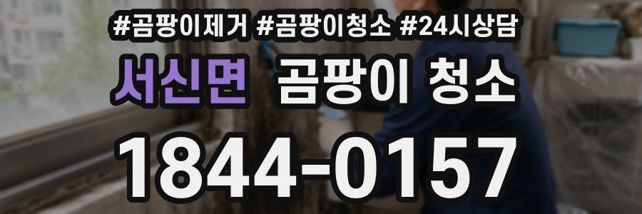 서신면 곰팡이 청소