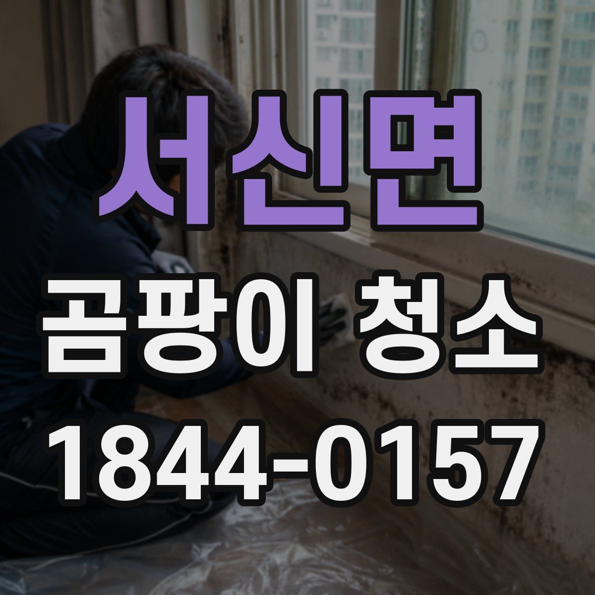 서신면 곰팡이 청소