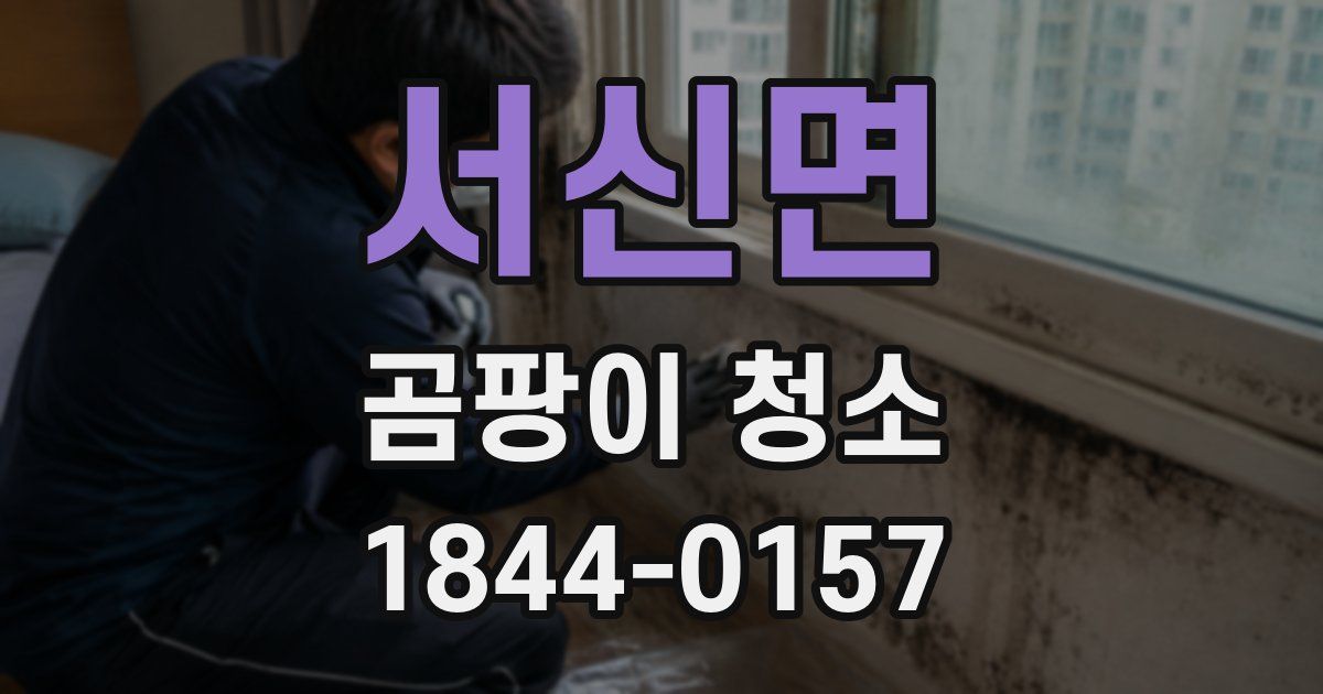 서신면 곰팡이 청소