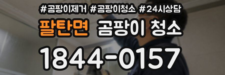팔탄면 곰팡이 청소