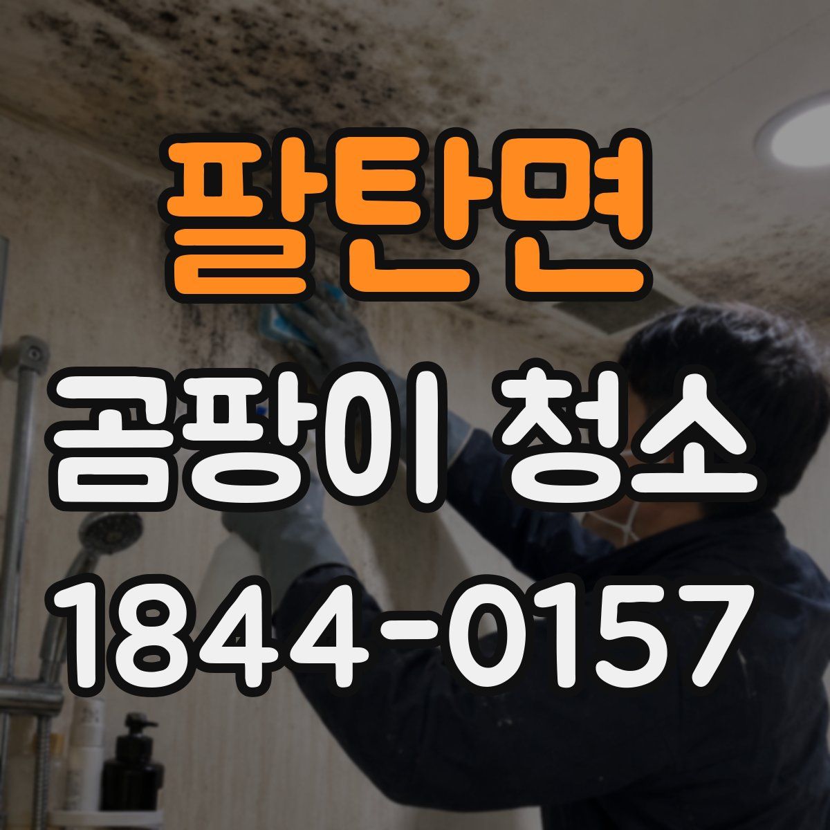 팔탄면 곰팡이 청소