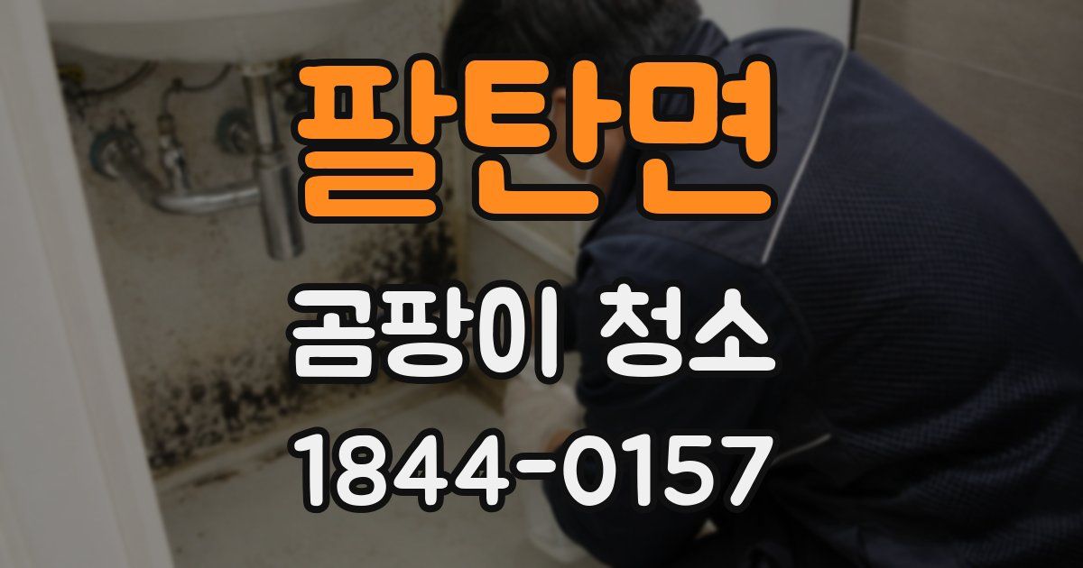 팔탄면 곰팡이 청소