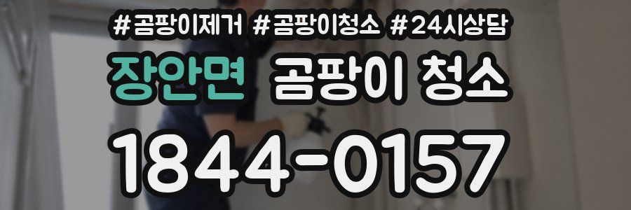 장안면 곰팡이 청소
