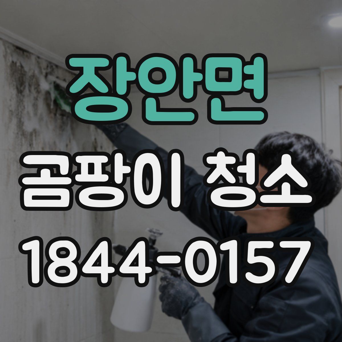 장안면 곰팡이 청소