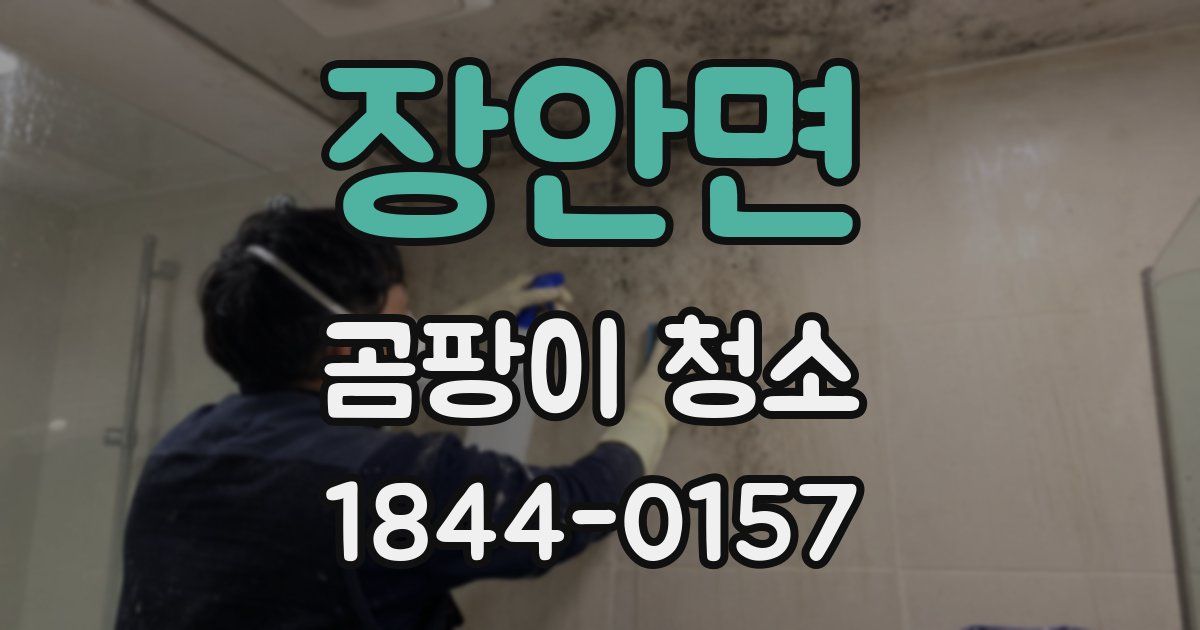 장안면 곰팡이 청소