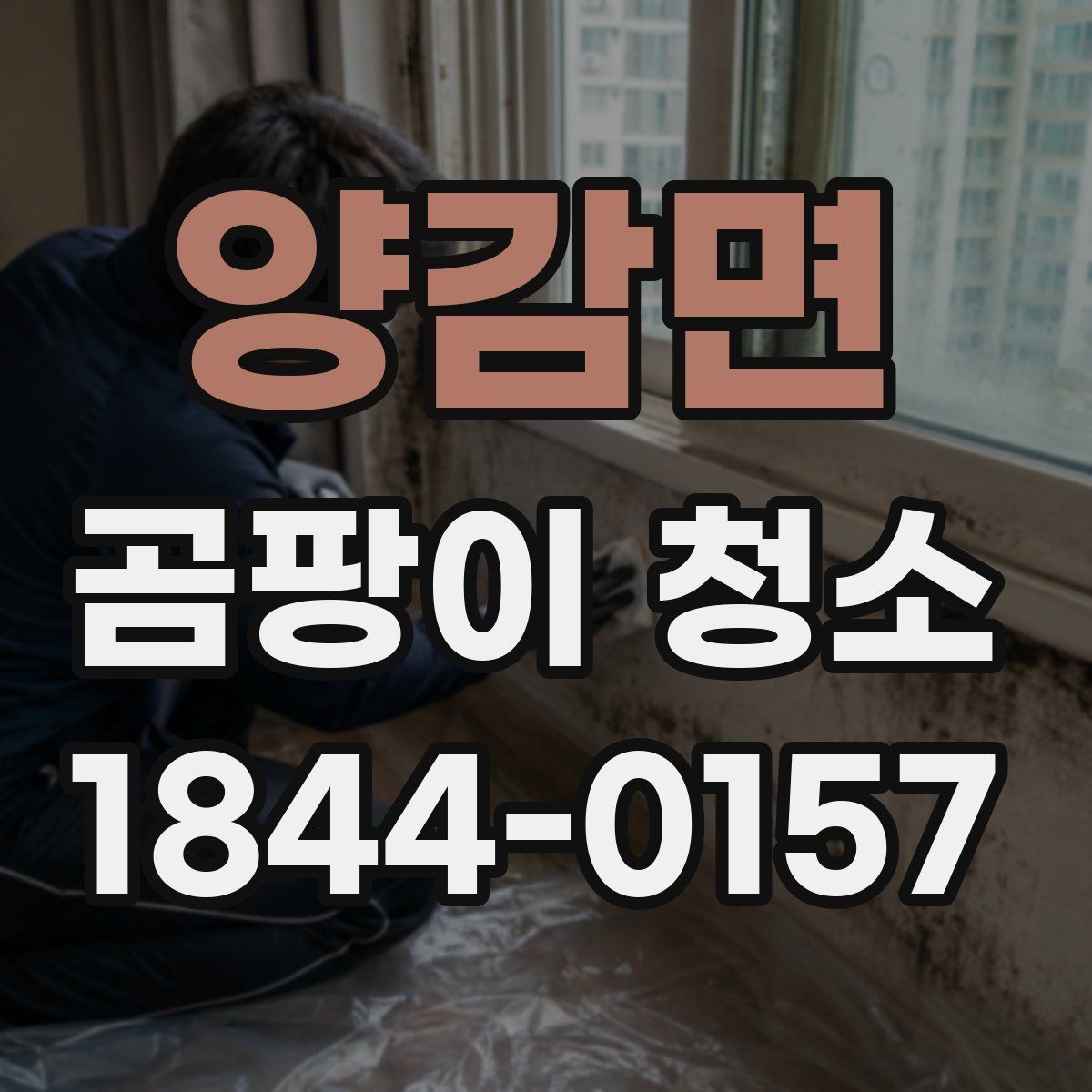 양감면 곰팡이 청소