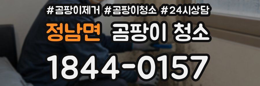 정남면 곰팡이 청소
