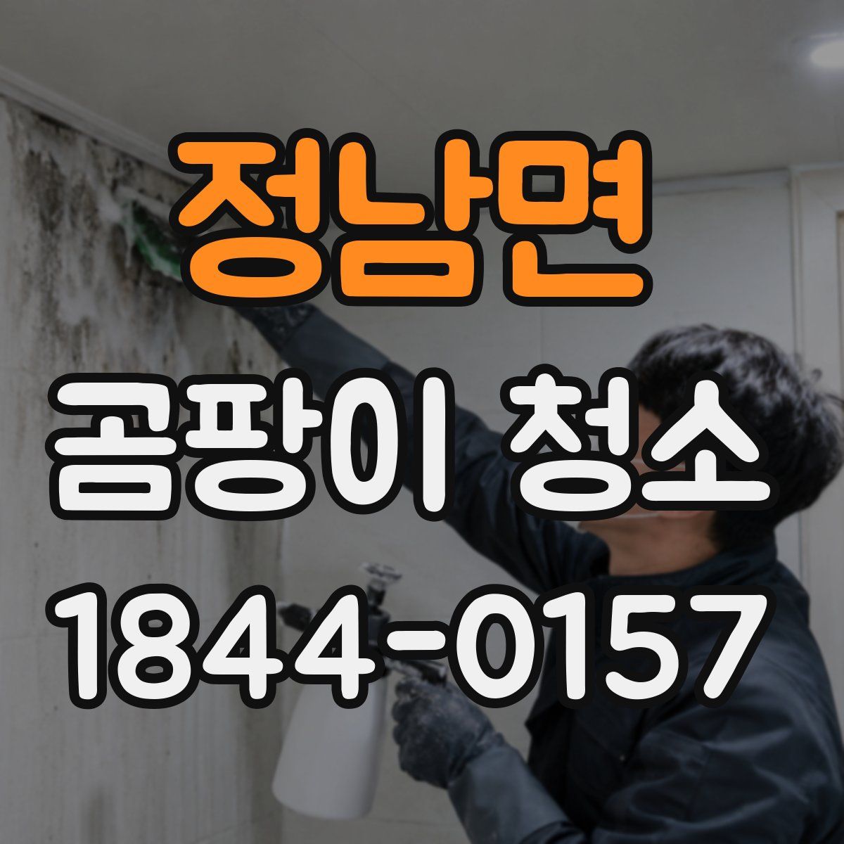 정남면 곰팡이 청소