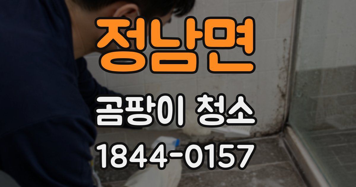 정남면 곰팡이 청소