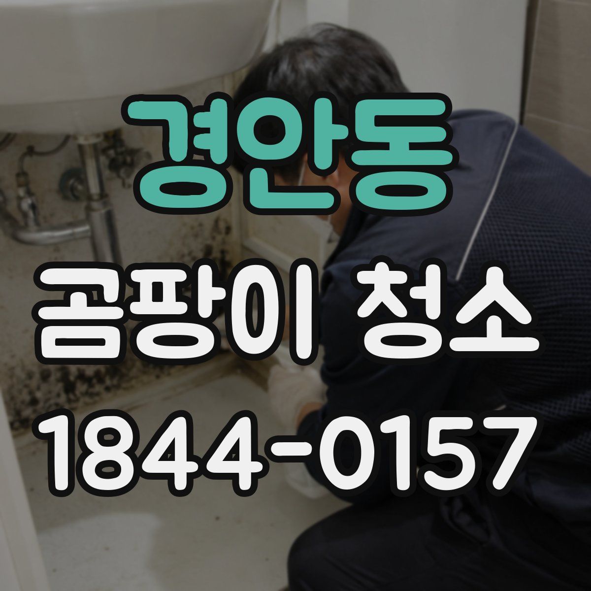 경안동 곰팡이 청소