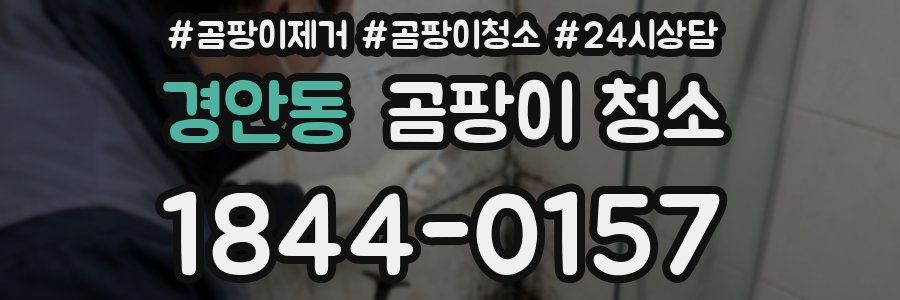 경안동 곰팡이 청소