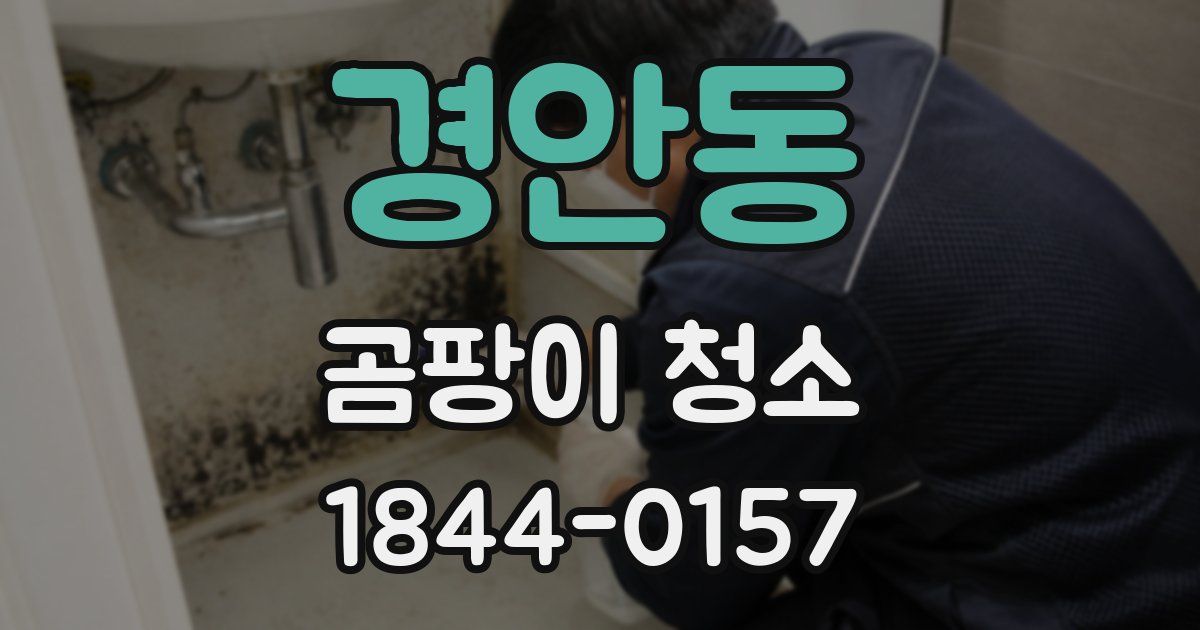 경안동 곰팡이 청소