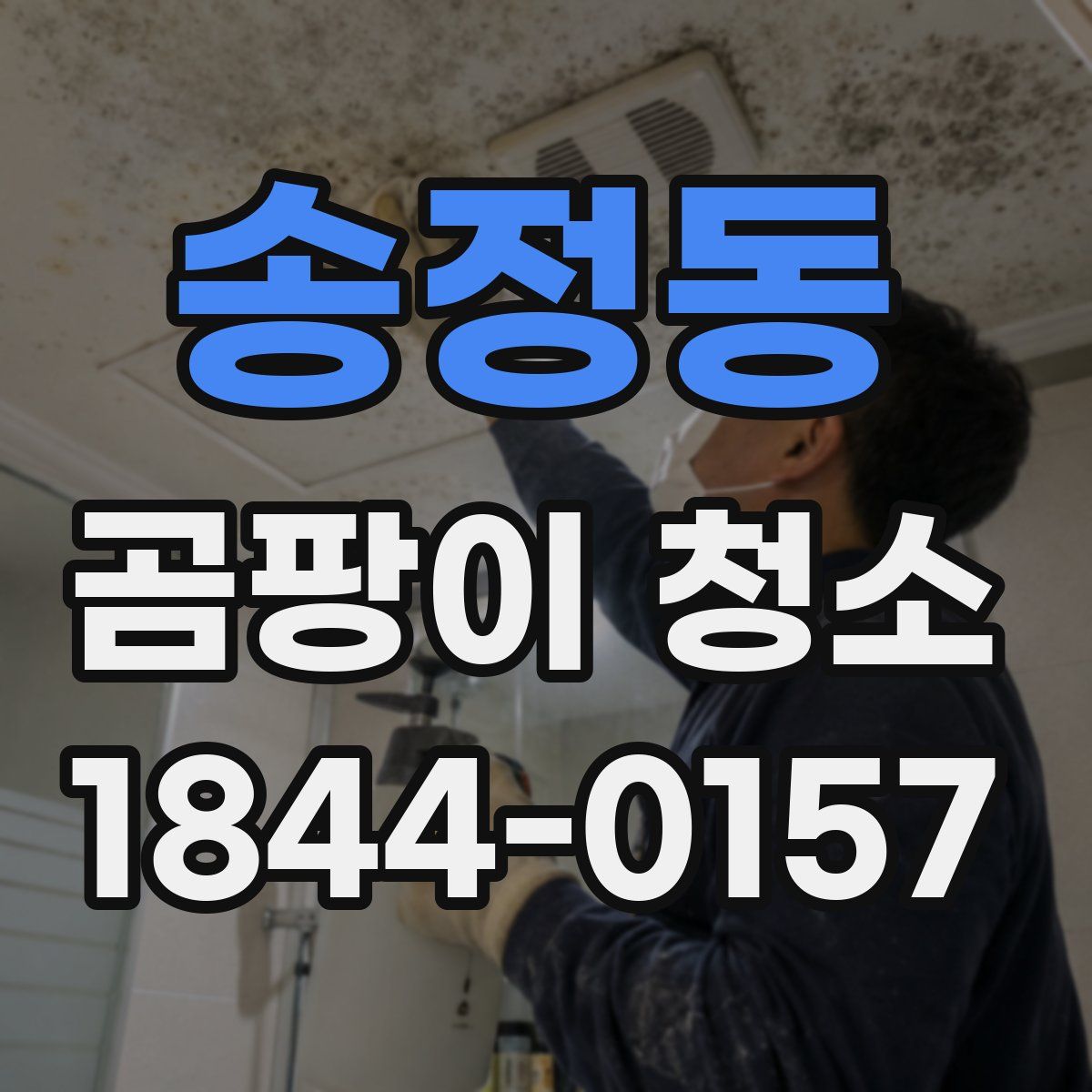 송정동 곰팡이 청소