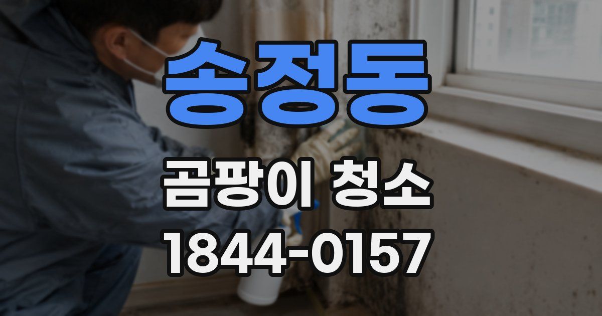 송정동 곰팡이 청소