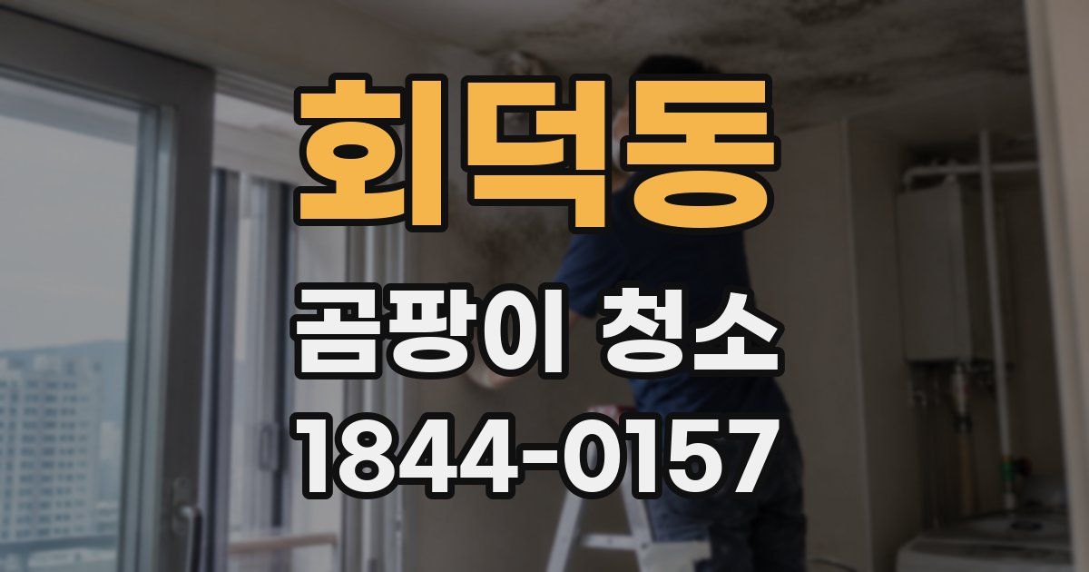 회덕동 곰팡이 청소