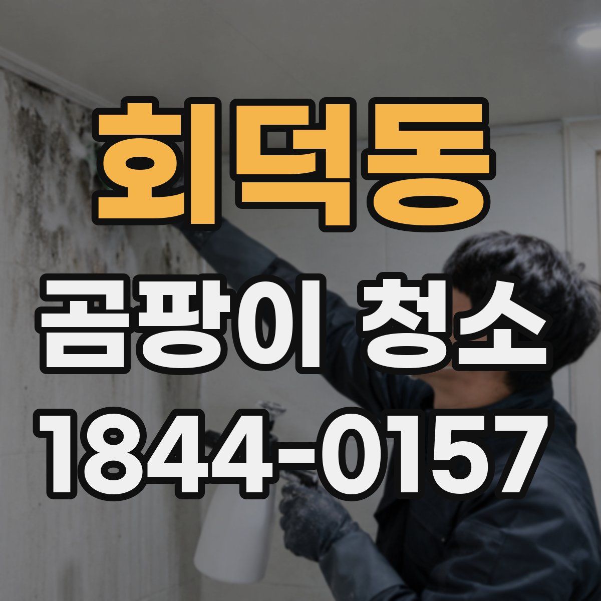 회덕동 곰팡이 청소