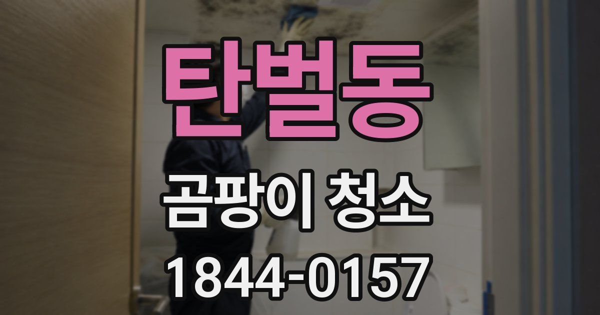 탄벌동 곰팡이 청소