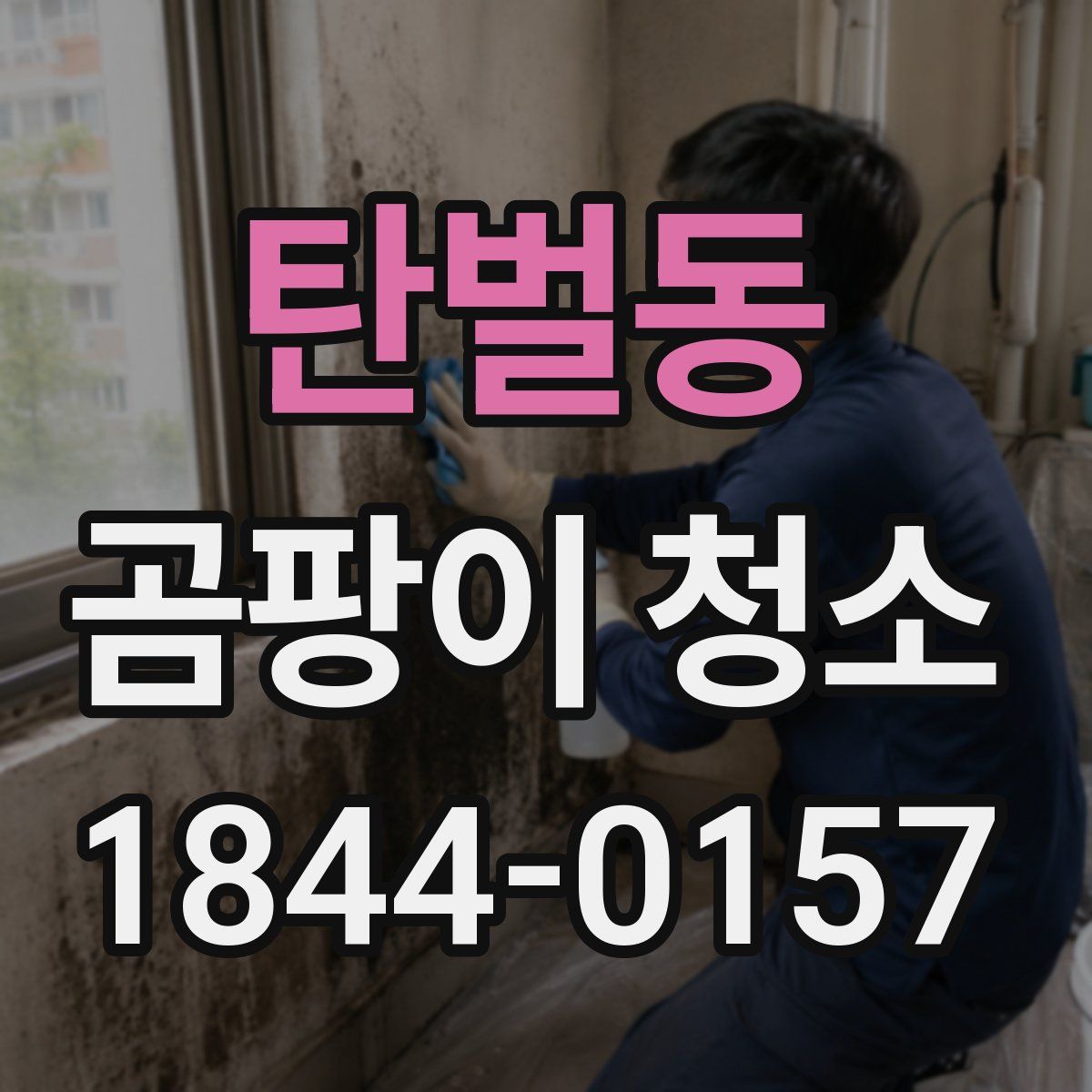 탄벌동 곰팡이 청소