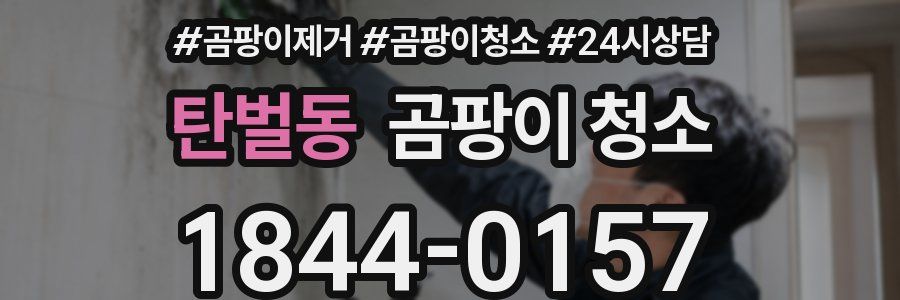 탄벌동 곰팡이 청소