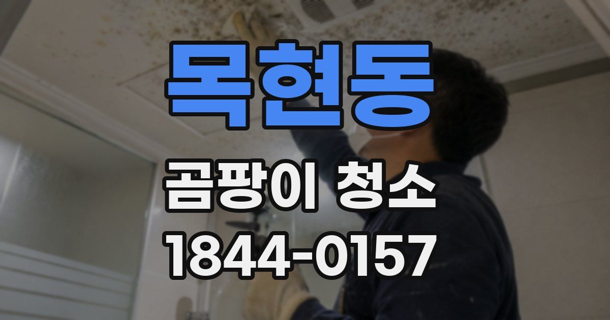 목현동 곰팡이 청소
