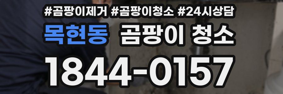 목현동 곰팡이 청소