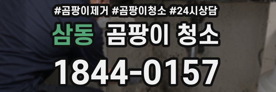 삼동 곰팡이 청소