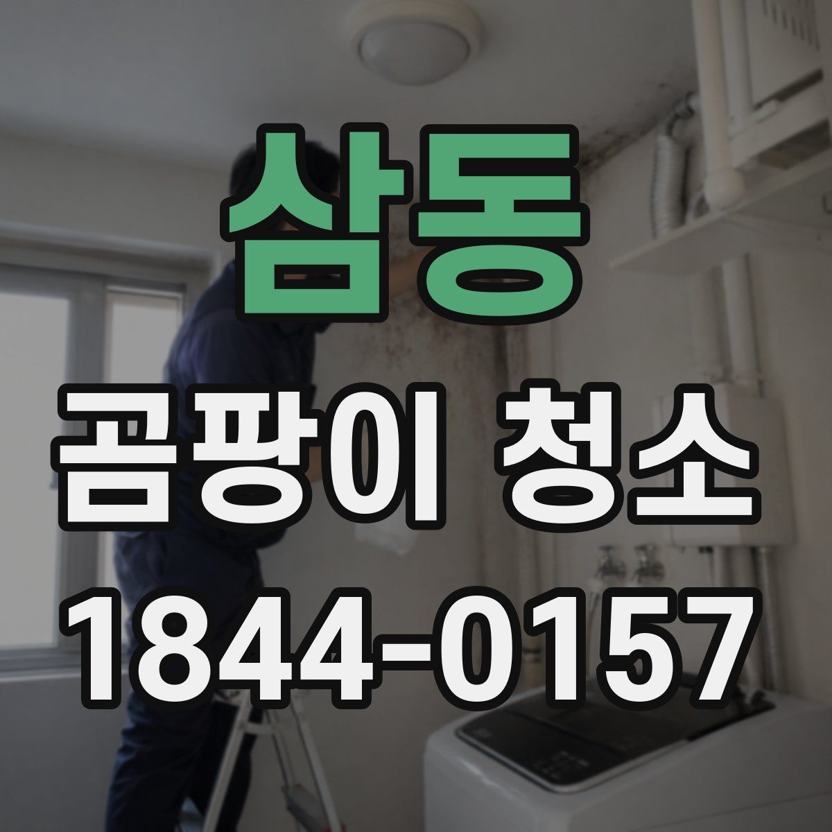 삼동 곰팡이 청소