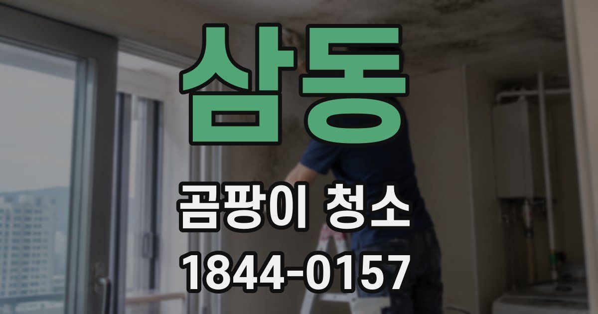 삼동 곰팡이 청소