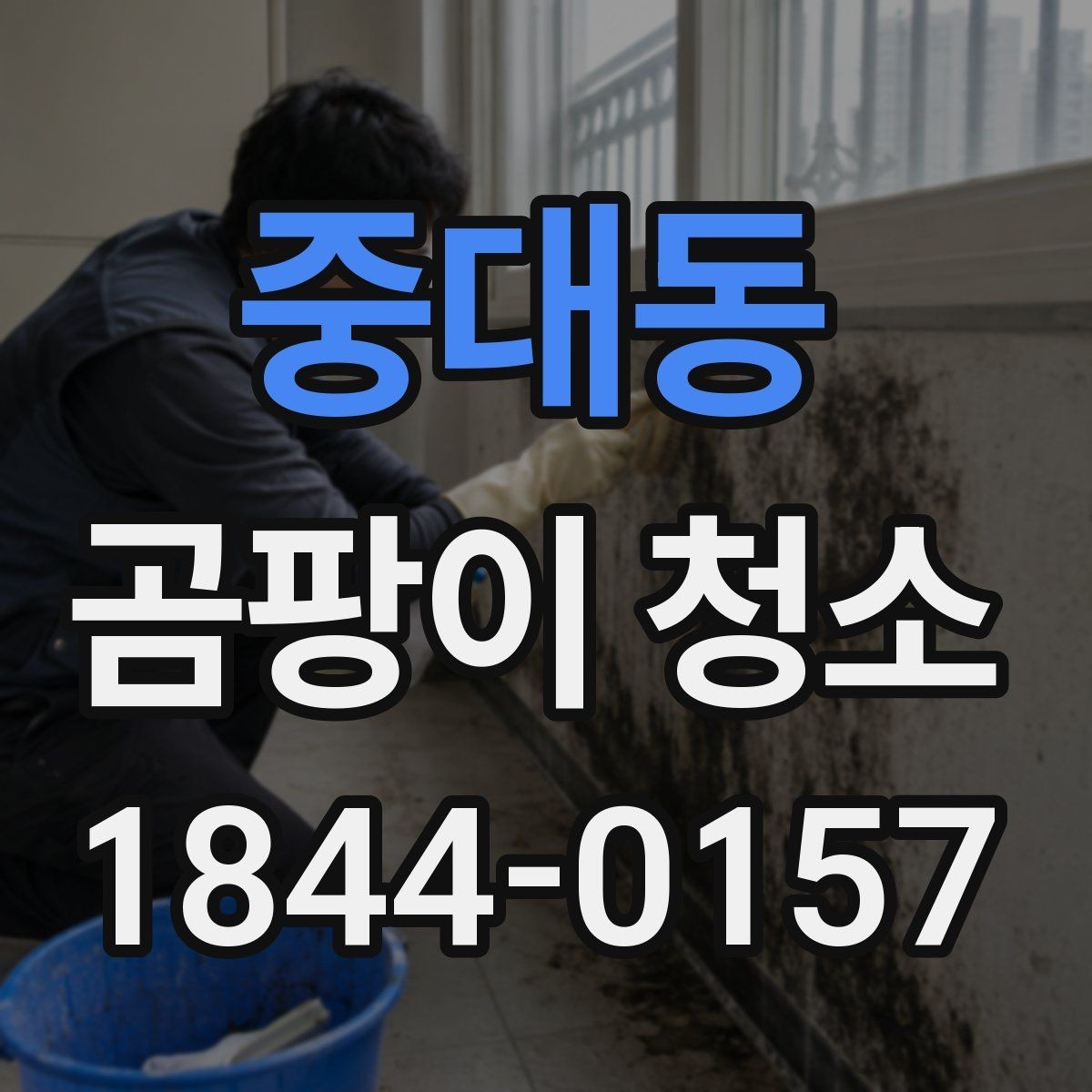 중대동 곰팡이 청소 습도 관리로 재발을 줄이는 방법