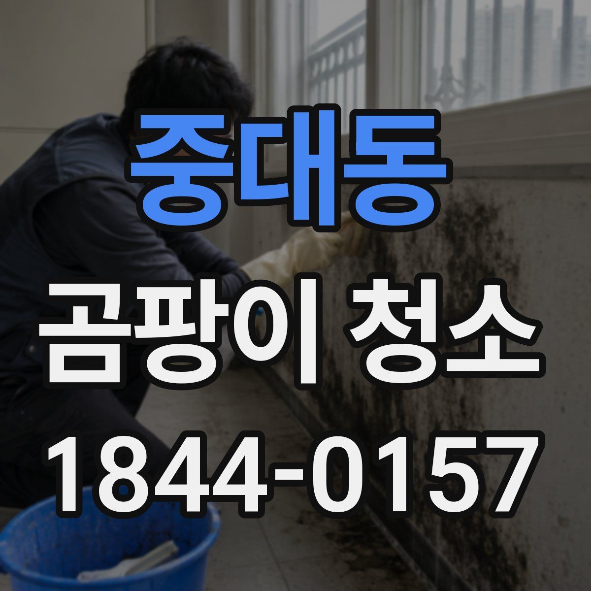 중대동 곰팡이 청소
