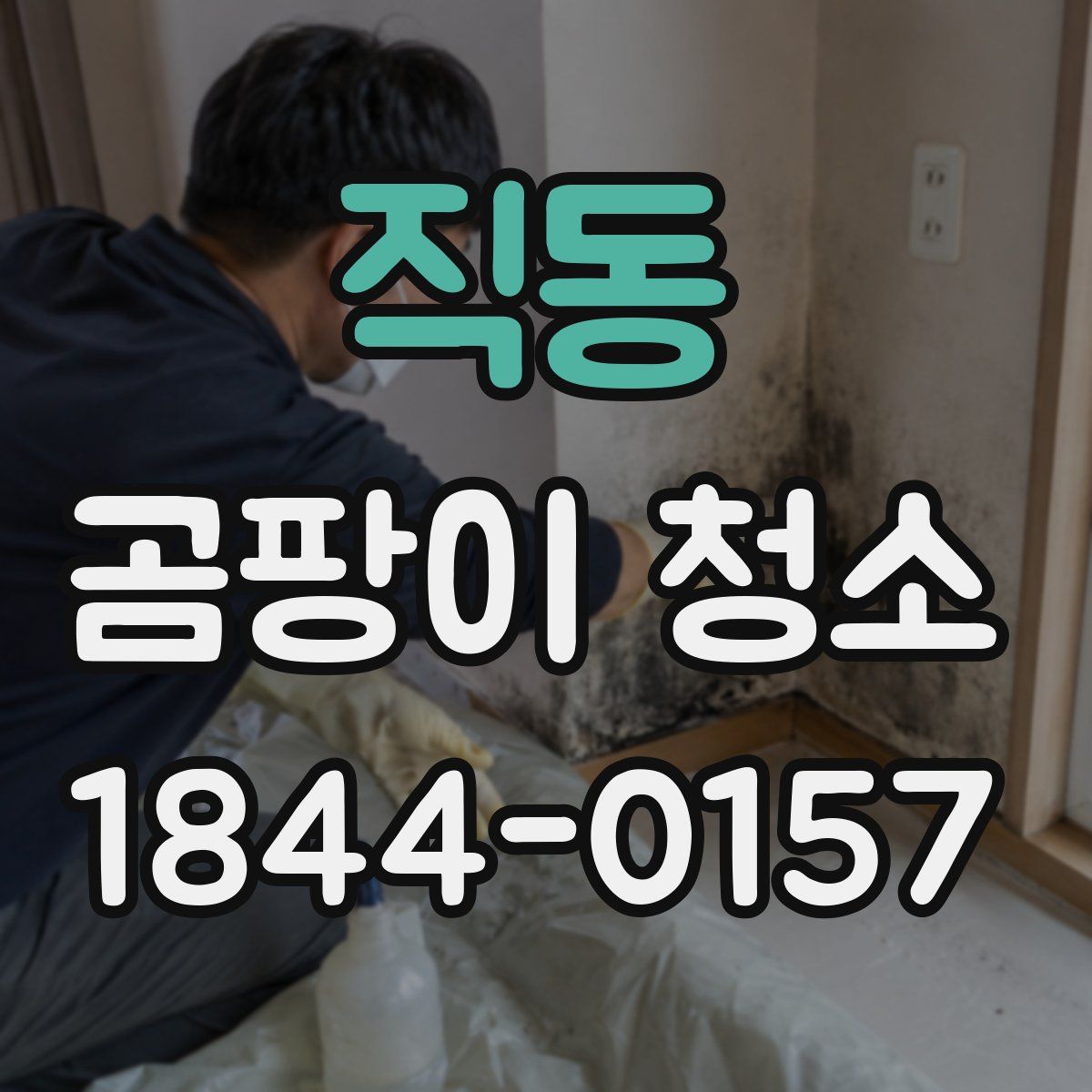 직동 곰팡이 청소